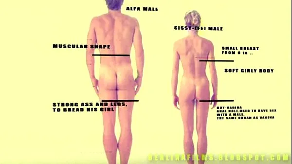 XXX Shemale Aanatomy (Una specie di sissy-trainernuovi video