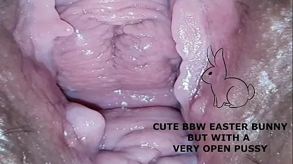 XXX Cute bbw bunny, but with a very open pussy új videó